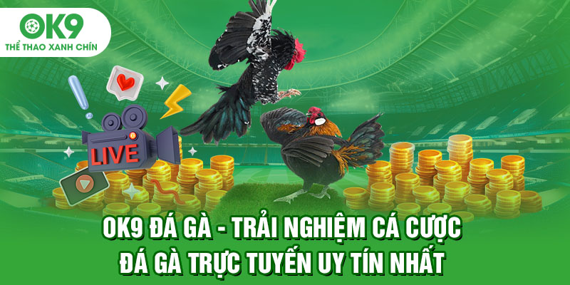 OK9 Đá Gà - Trải Nghiệm Cá Cược Đá Gà Trực Tuyến Uy Tín Nhất