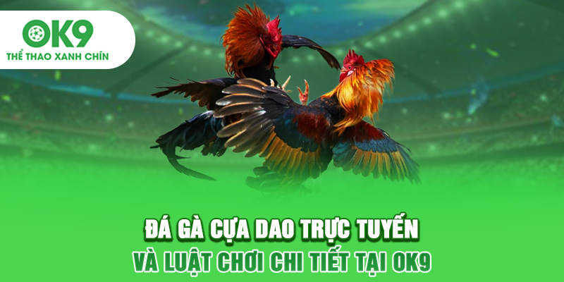 Đá Gà Cựa Dao Trực Tuyến Và Luật Chơi Chi Tiết Tại OK9
