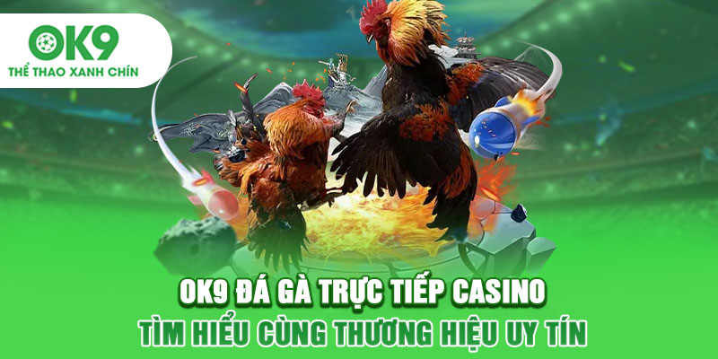 OK9 Đá Gà Trực Tiếp Casino - Tìm Hiểu Cùng Thương Hiệu Uy Tín
