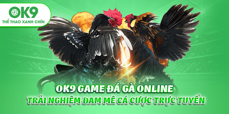 OK9 Game Đá Gà Online - Trải Nghiệm Đam Mê Cá Cược Trực Tuyến