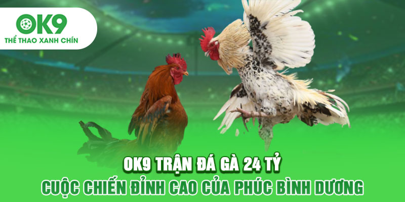 OK9 Trận Đá Gà 24 Tỷ - Cuộc Chiến Đỉnh Cao Của Phúc Bình Dương