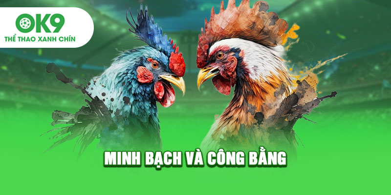 Minh bạch và công bằng