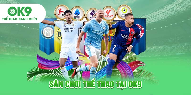Sân chơi thể thao tại OK9