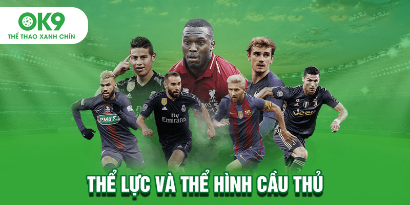 Thể lực và thể hình cầu thủ