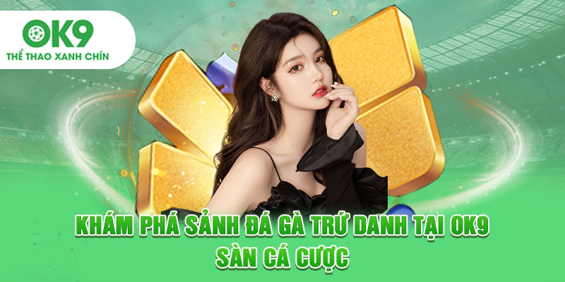 Khám phá sảnh đá gà trứ danh tại OK9 sàn cá cược