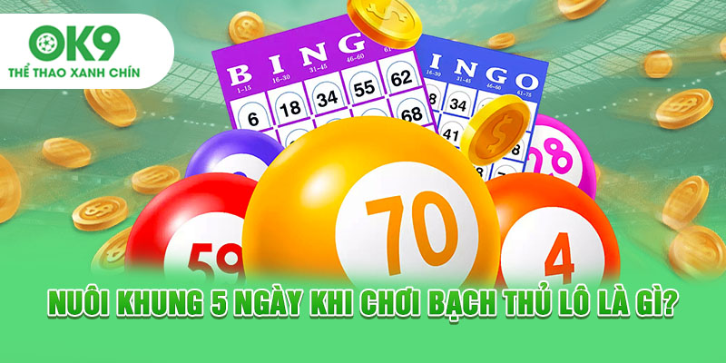 Nuôi khung 5 ngày khi chơi bạch thủ lô là gì?