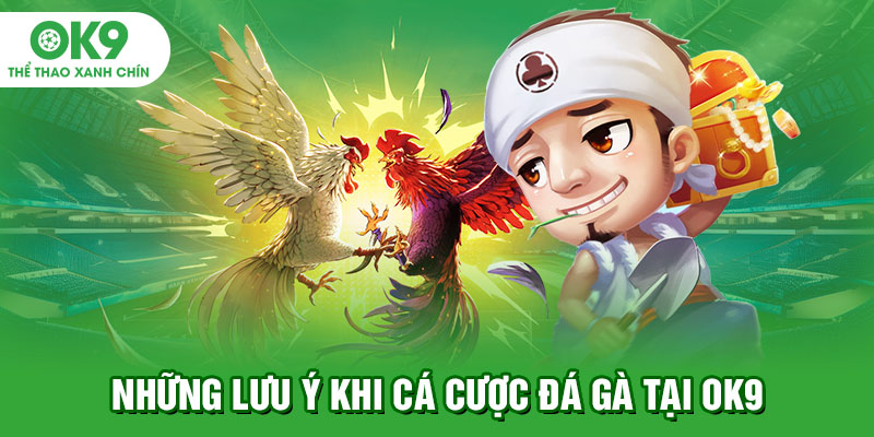 Những lưu ý khi cá cược đá gà tại OK9