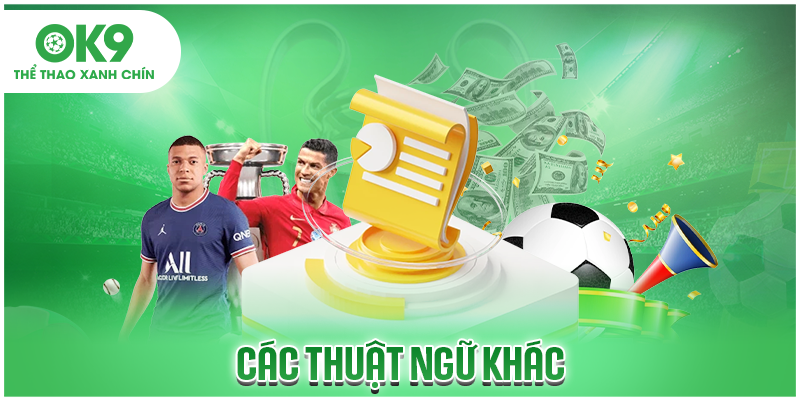 Các thuật ngữ khác