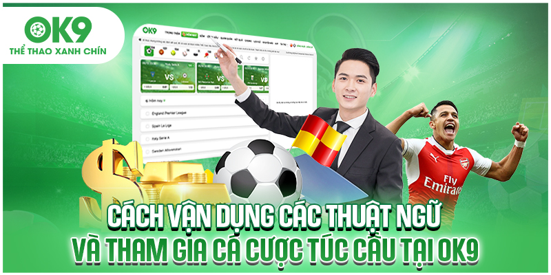 Cách vận dụng các thuật ngữ và tham gia cá cược túc cầu tại OK9