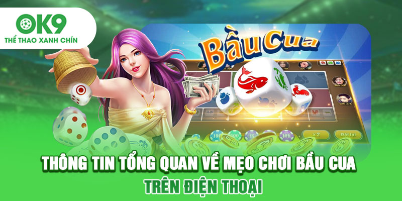 Thông tin tổng quan về mẹo chơi bầu cua trên điện thoại