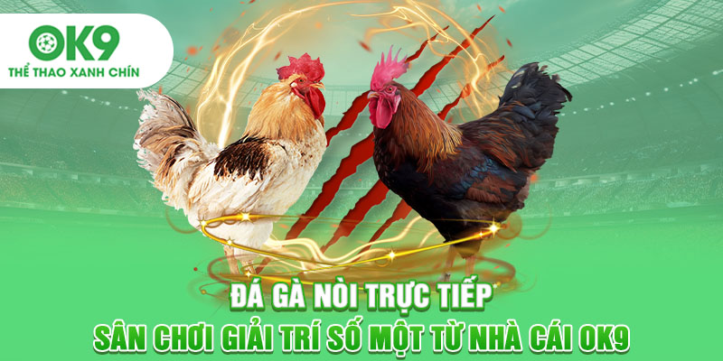 Đá Gà Nòi Trực Tiếp Sân Chơi Giải Trí Số Một Từ Nhà Cái OK9