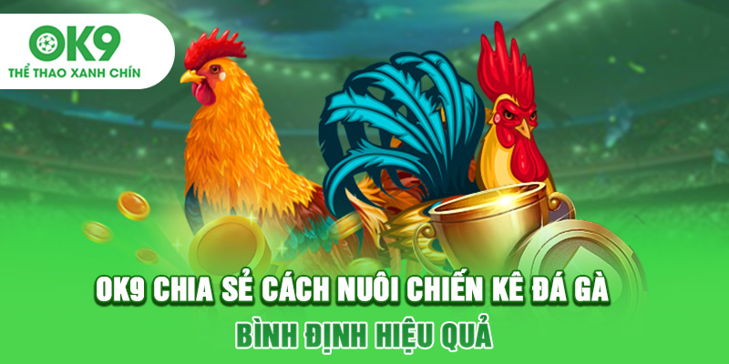 OK9 Chia Sẻ Cách Nuôi Chiến Kê Đá Gà Bình Định Hiệu Quả