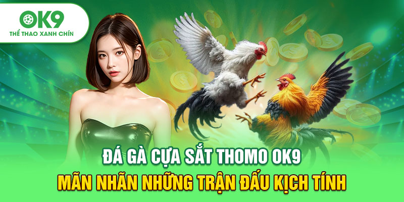 Đá Gà Cựa Sắt Thomo OK9 - Mãn Nhãn Những Trận Đấu Kịch Tính