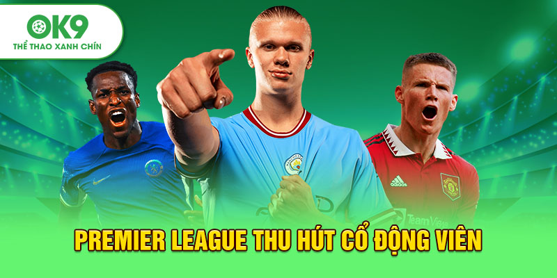 Premier League thu hút cổ động viên